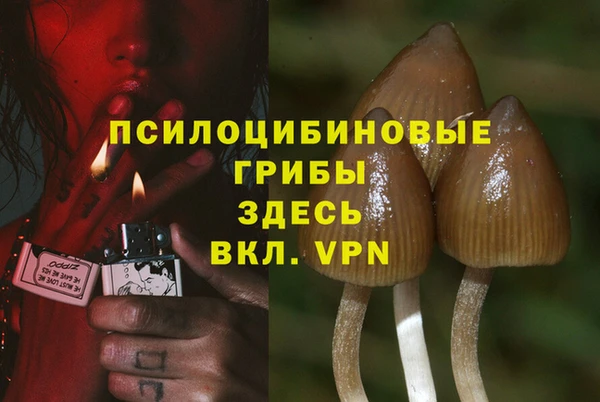 винт Баксан