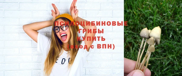 винт Баксан