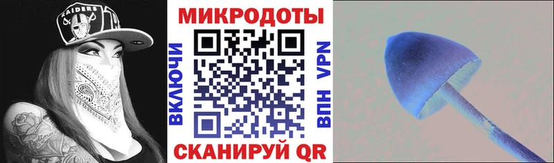 Псилоцибиновые грибы прущие грибы  KRAKEN маркетплейс  Зубцов 